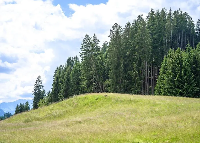 Freiheit Apartment Bolsterlang